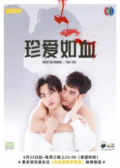 珍爱如血