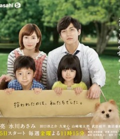 所谓养狗~Sky与我家的180天~