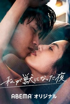 我放纵情欲的夜晚2